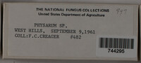 Image Associated With the Occurence